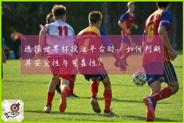 选择世界杯投注平台时，如何判断其安全性与可靠性？