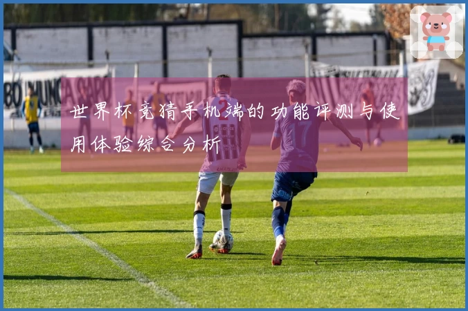 世界杯竞猜手机端的功能评测与使用体验综合分析