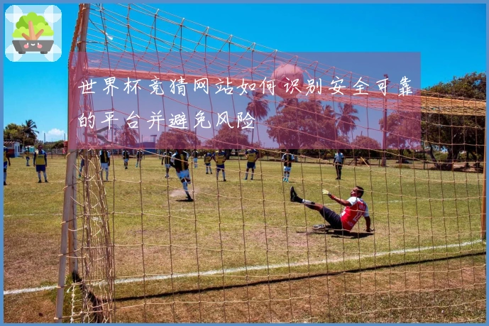 世界杯竞猜网站如何识别安全可靠的平台并避免风险