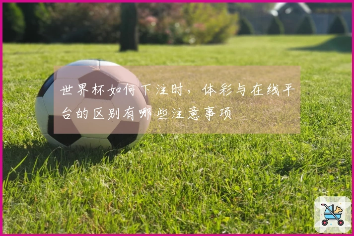 世界杯如何下注时,体彩与在线平台的区别有哪些注意事项
