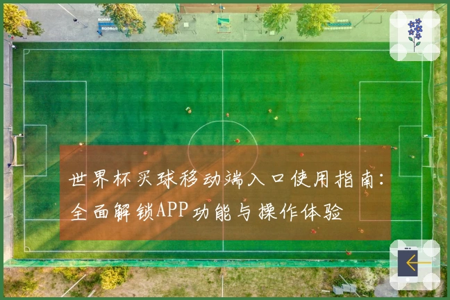 世界杯买球移动端入口使用指南：全面解锁APP功能与操作体验