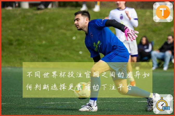 不同世界杯投注官网之间的差异如何判断选择更靠谱的下注平台