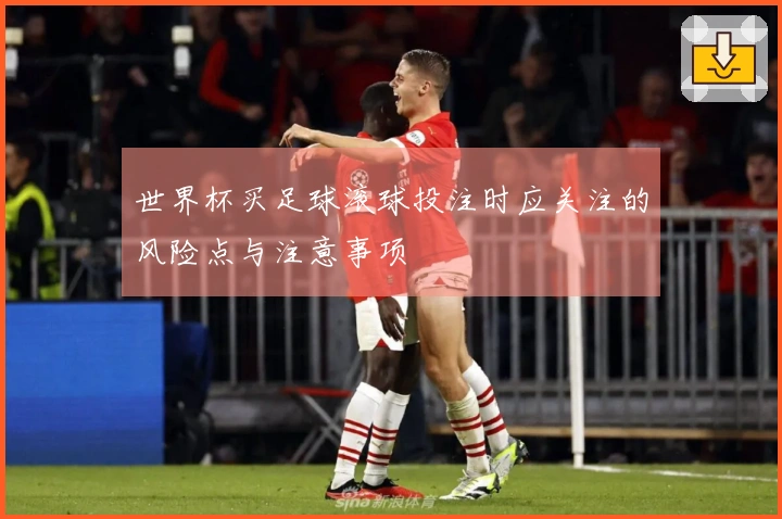 世界杯买足球滚球投注时应关注的风险点与注意事项