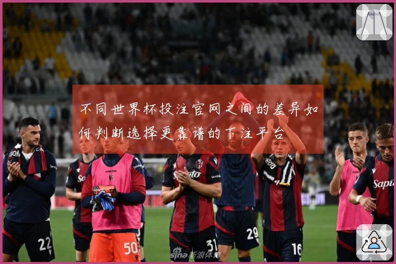 不同世界杯投注官网之间的差异如何判断选择更靠谱的下注平台