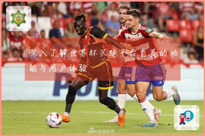 深入了解世界杯买球平台首页的功能与用户体验