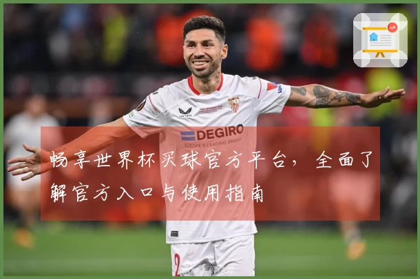 畅享世界杯买球官方平台，全面了解官方入口与使用指南