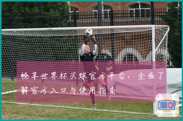畅享世界杯买球官方平台,全面了解官方入口与使用指南